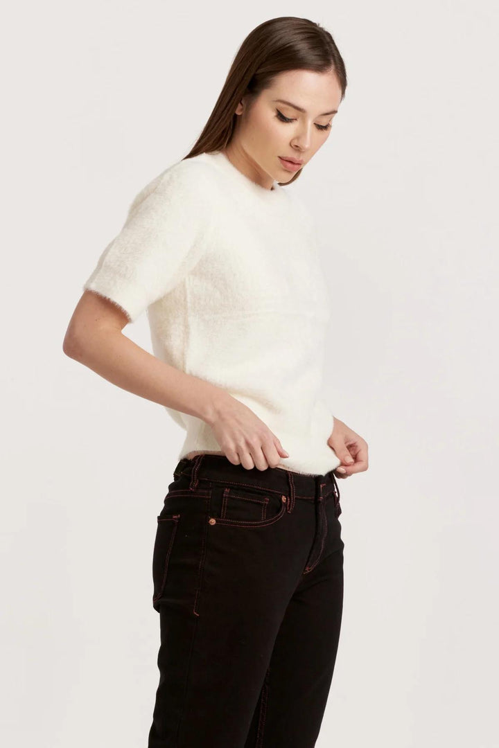 Another Love Susie Short Sleeve Sweater