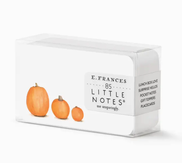 Little Notes Cards