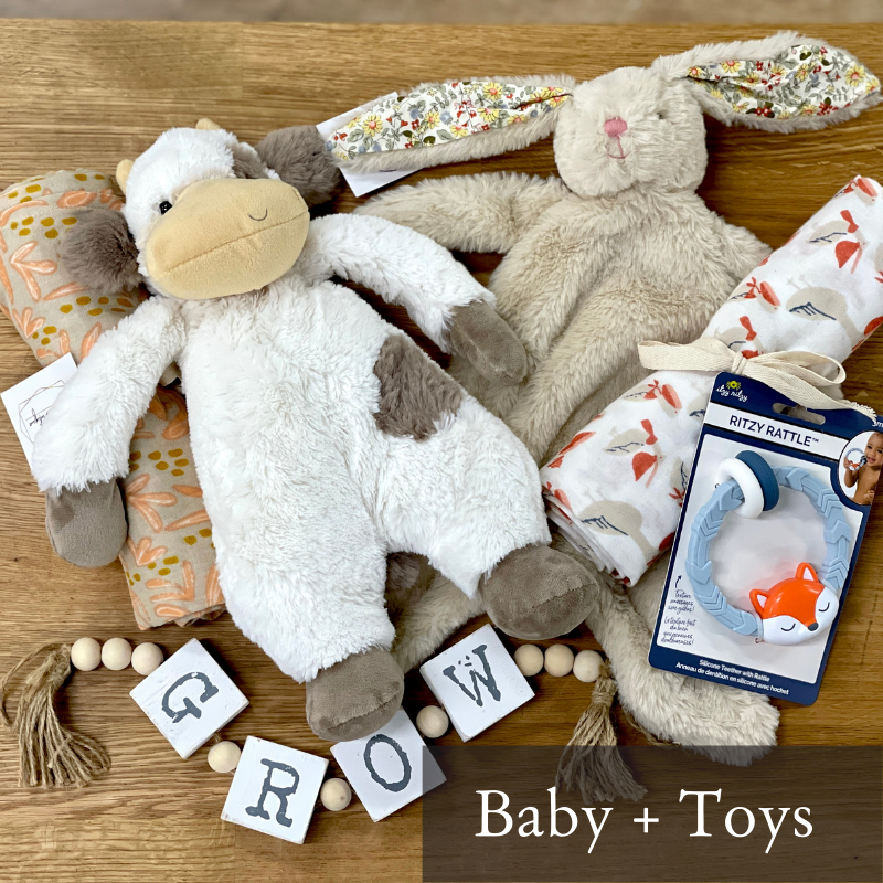 https://www.whitebirchdesignco.com/cdn/shop/files/Baby_Toys_6a12530e-3241-4b9c-9927-10c13141f6a9_1600x.png?v=1646286513